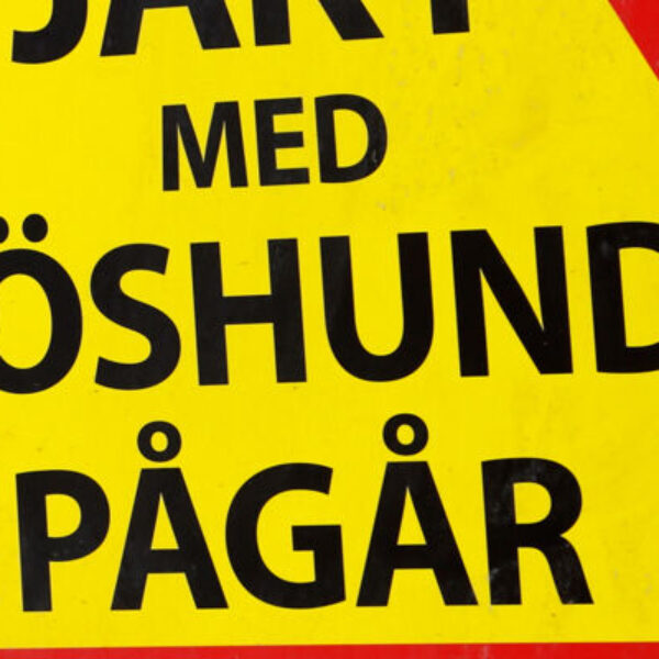 Ungdomsjakt i Gävleborg