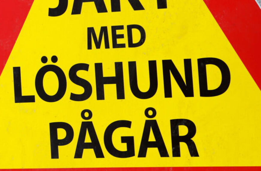 Ungdomsjakt i Gävleborg